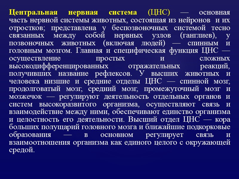 Центральная нервная система (ЦНС) — основная часть нервной системы животных, состоящая из нейронов 